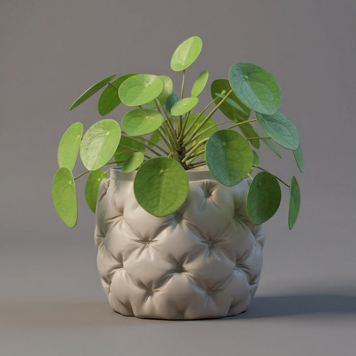 3D Printed Textured Plant Pot "Kivu" with Drainage