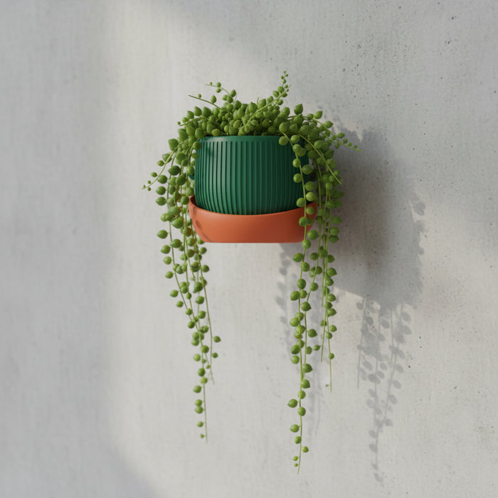 Modern Wall Planter “Korin” with Textured Surface, Two-Color Customization