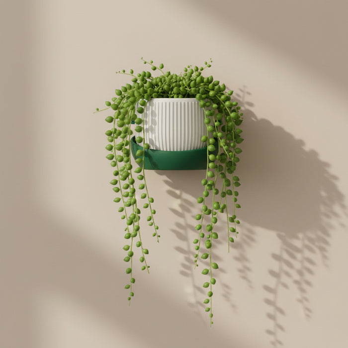 Modern Wall Planter “Korin” with Textured Surface, Two-Color Customization