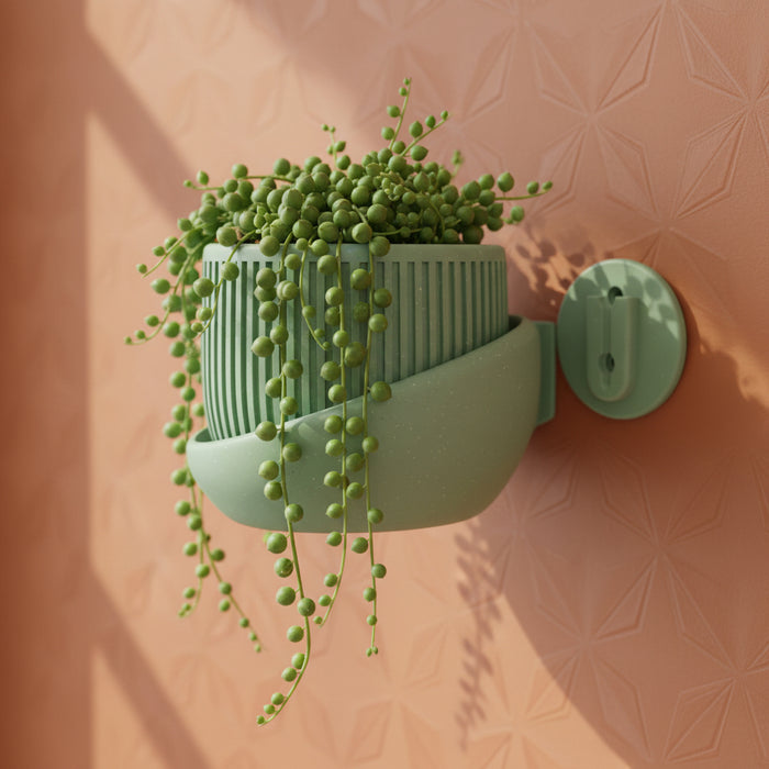 Modern Wall Planter “Korin” with Textured Surface, Two-Color Customization