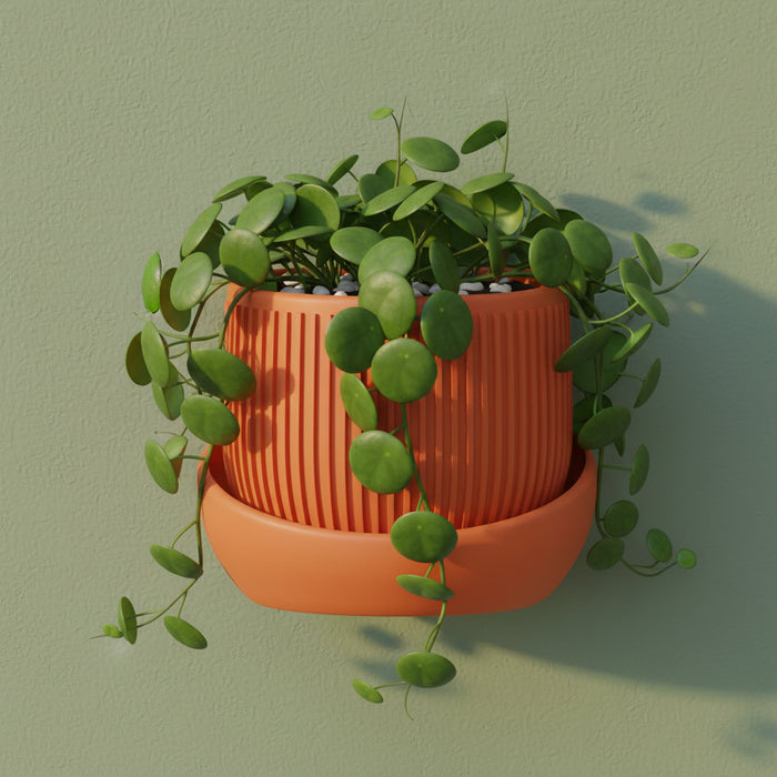 Modern Wall Planter “Korin” with Textured Surface, Two-Color Customization