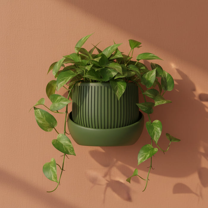 Modern Wall Planter “Korin” with Textured Surface, Two-Color Customization