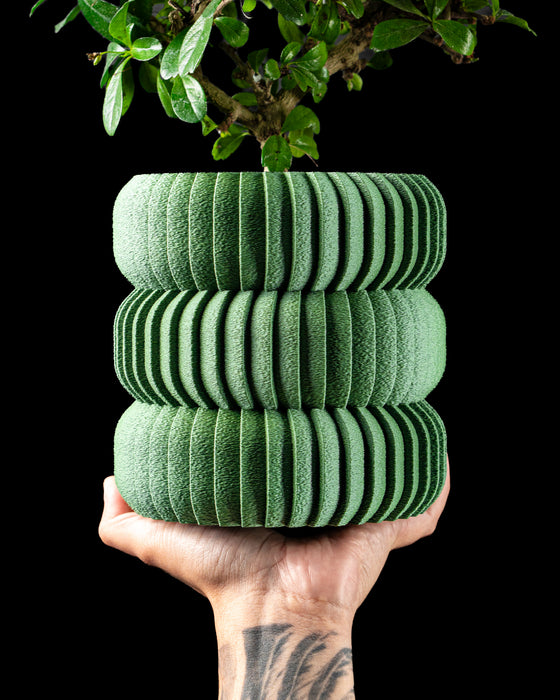 Koro ribbed low-profile indoor planter with plant