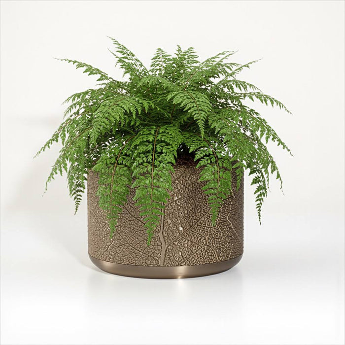 "Leaf Vein" Planter Pot with Drainage | Modern Textured Plant Pot | 3D Printed Succulent Pot Gift & Unique Home Decor