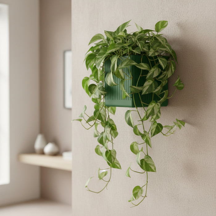 Wall Planter "Linor" | Vertical Ribbed Wall Mounted Plant Pot