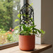 Liora butterfly decorative plant trellis for indoor climbing plants, front view
