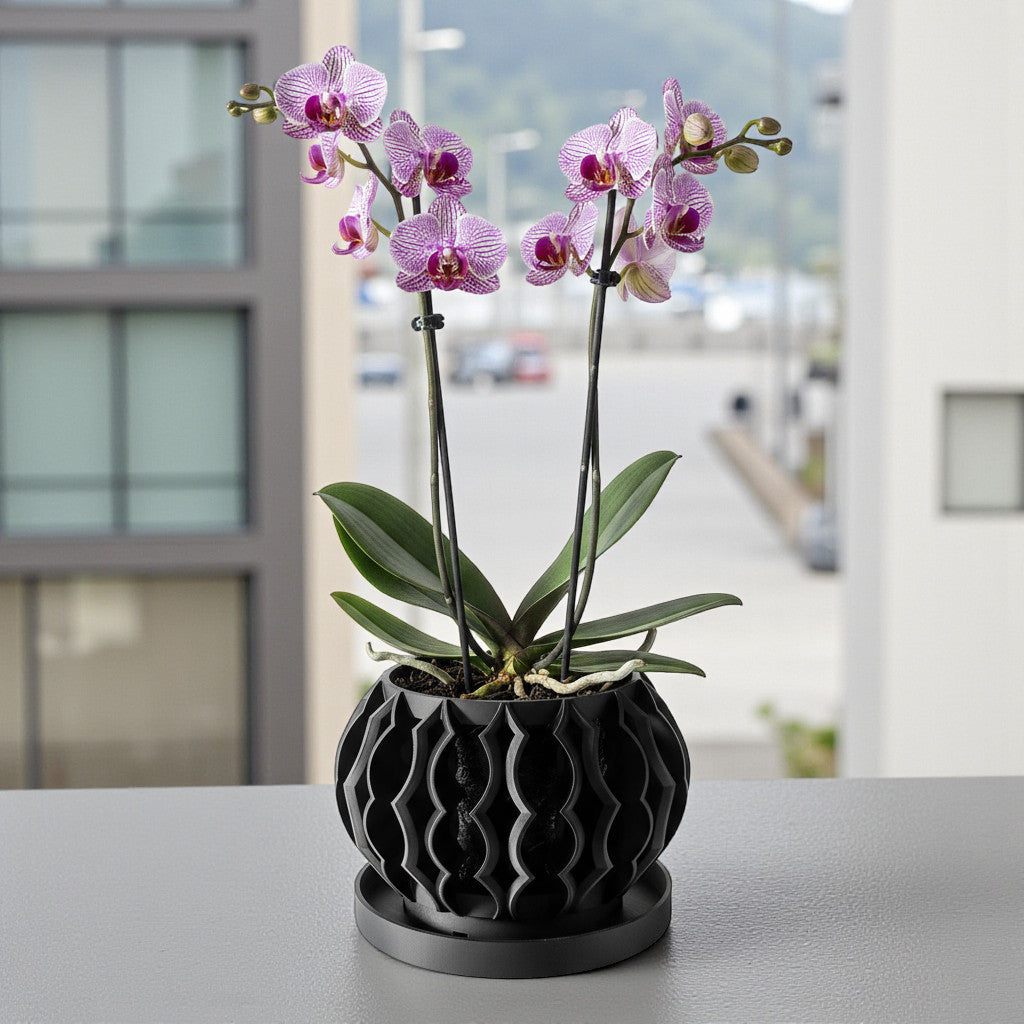 Luvo soft wave openwork ventilated orchid pot, indoor display view