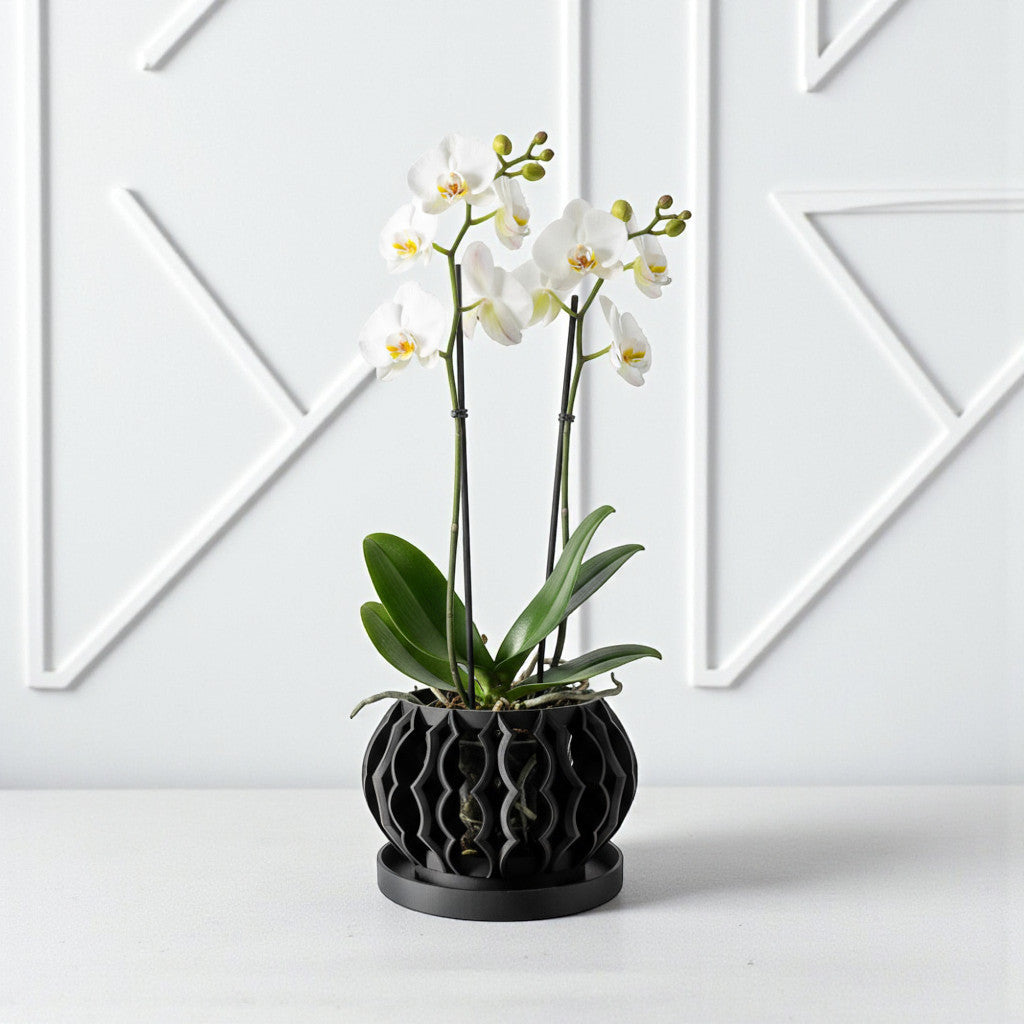 Luvo soft wave openwork ventilated orchid pot, side view