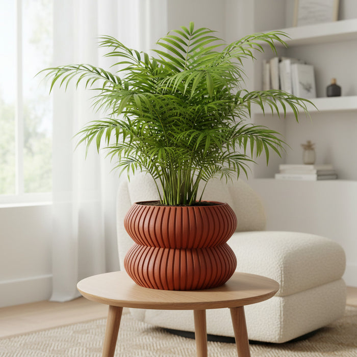 Planter Pot "Mi3D Printed Planter “Milo” | Ribbed Double-Form Plant Pot | Multicolor Contemporary Planter | Organic Curved Home Decorlo" eco-friendly, drainage |  color & size options