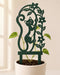 Miora cat plant trellis in a white planter supporting a climbing pothos vine