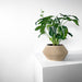 Stylish beige plant pot made with 3D printing | unique wavy ribbed form for artistic interiors | perfect for modern homes