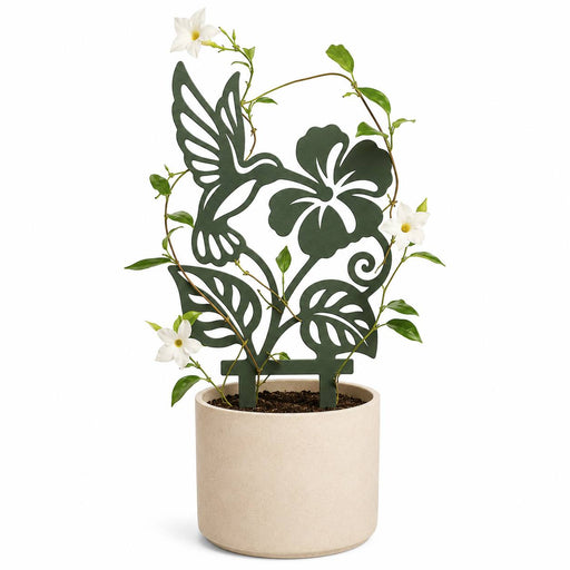 Nectra hummingbird and hibiscus plant trellis in a cream planter supporting a flowering climbing vine