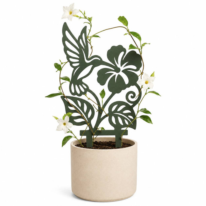 Nectra hummingbird and hibiscus plant trellis in a cream planter supporting a flowering climbing vine