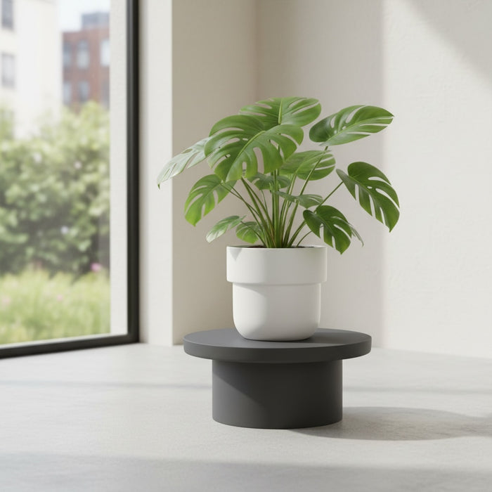 Minimalist 3D Printed Plant Stand "Neo Base"
