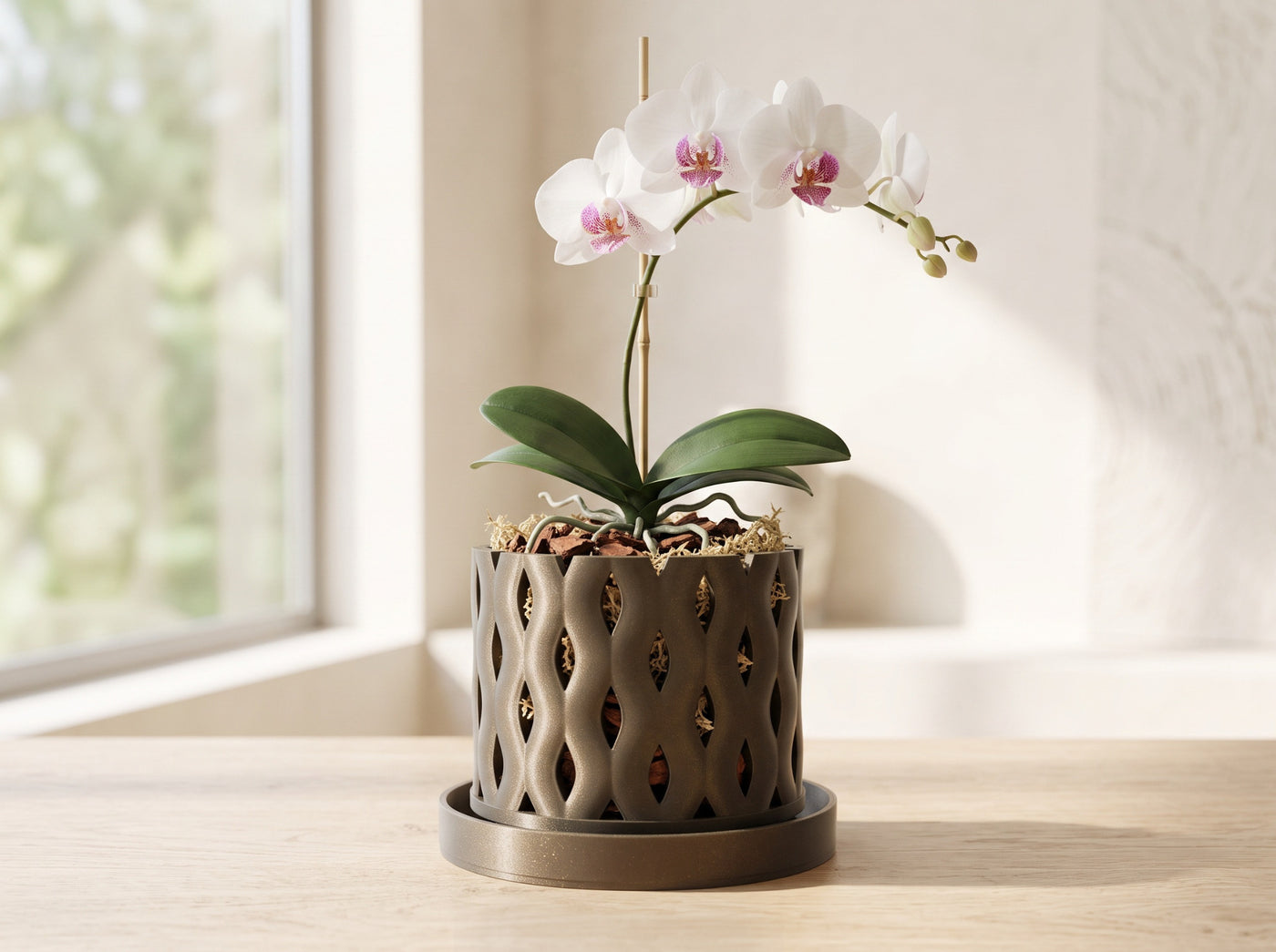 Neris ventilated orchid pot with white orchid on a bright indoor windowsill