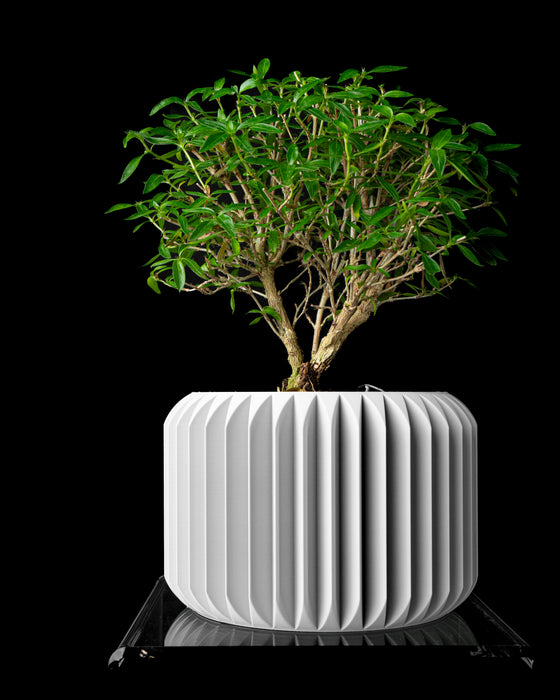 Nila pedestal planter styled with an indoor plant