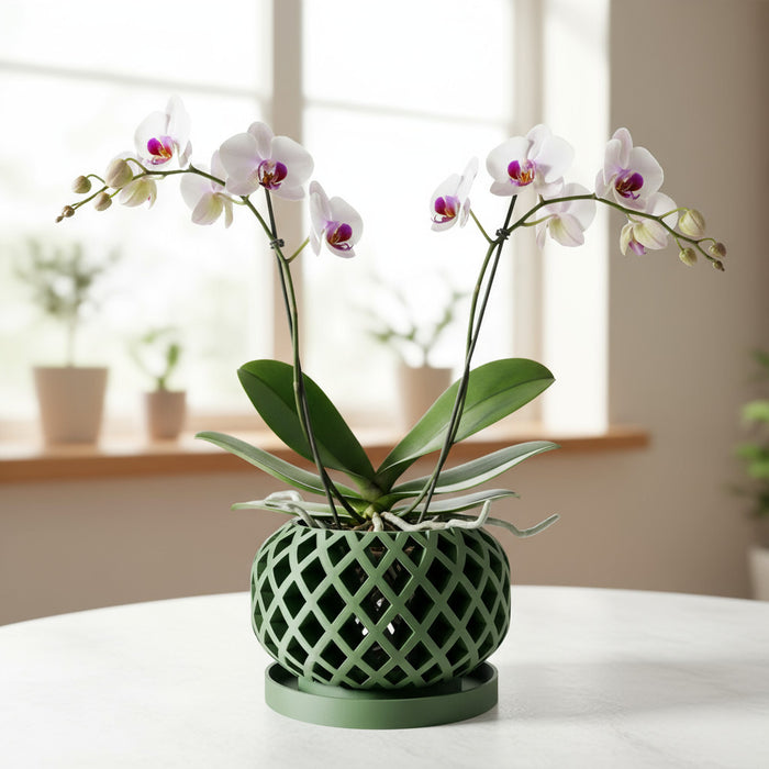 Orchid Pot "Nire" eco-friendly, drainage |  color & size options