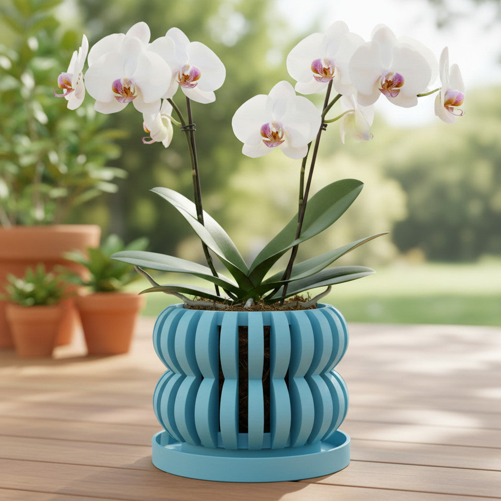 Oli curved openwork ventilated orchid pot, indoor display view