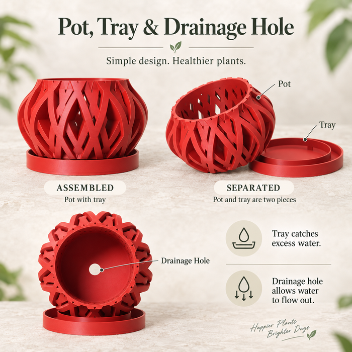 Ventilated Orchid Pot with Rounded Lattice and Optional Tray | Rimo — product image 2