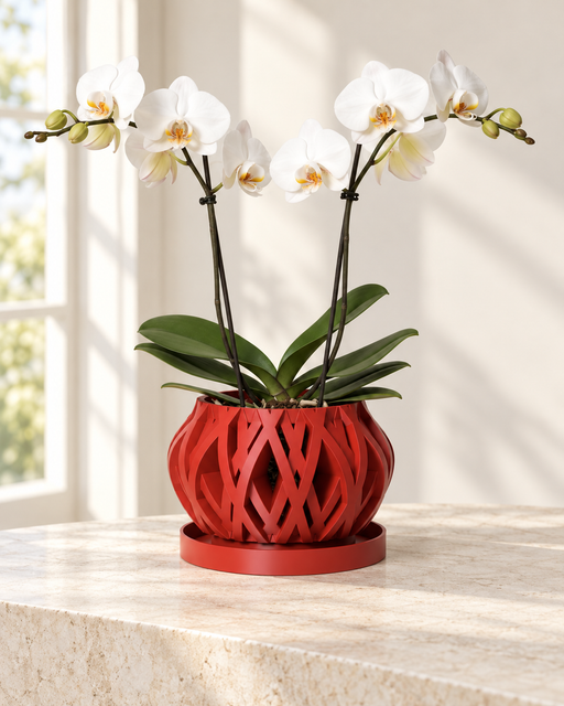 Ventilated Orchid Pot with Rounded Lattice and Optional Tray | Rimo — product image 1