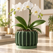 Ventilated Orchid Pot with Structured Lattice and Optional Tray | Rodex — product image 1