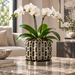Ventilated Orchid Pot with Diamond Lattice and Optional Tray | Ritar — product image 13