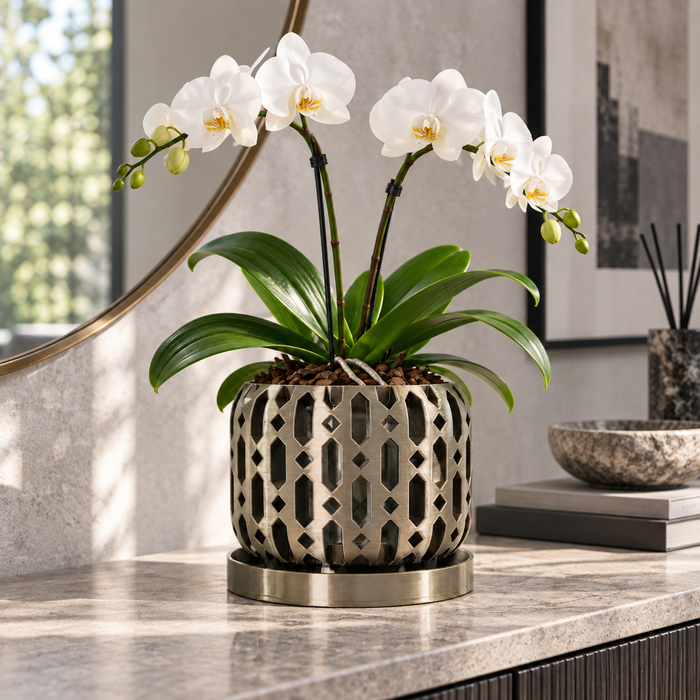 Ventilated Orchid Pot with Diamond Lattice and Optional Tray | Ritar — product image 1