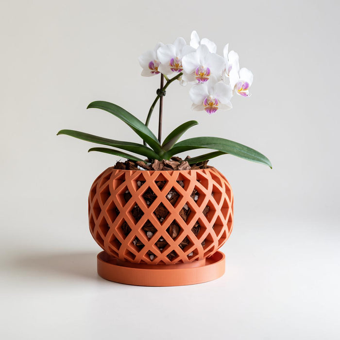 Orchid pot “Nire” styled with blooming orchid, geometric open lattice planter, and matching saucer
