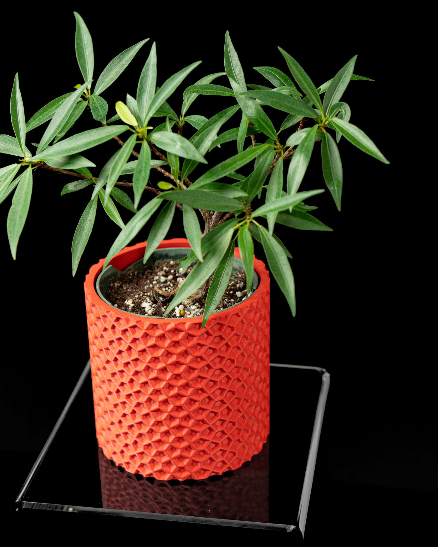 Ordan textured indoor planter styled with a plant