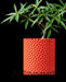 Ordan cylindrical textured plant pot styled with greenery