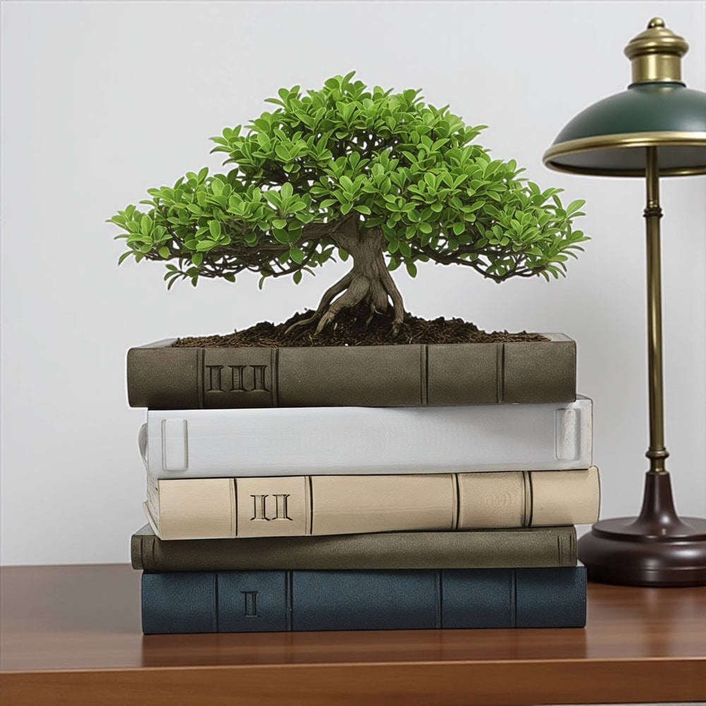 Custom Orven 3 book stack planter with five multicolor books and a decorative indoor plant