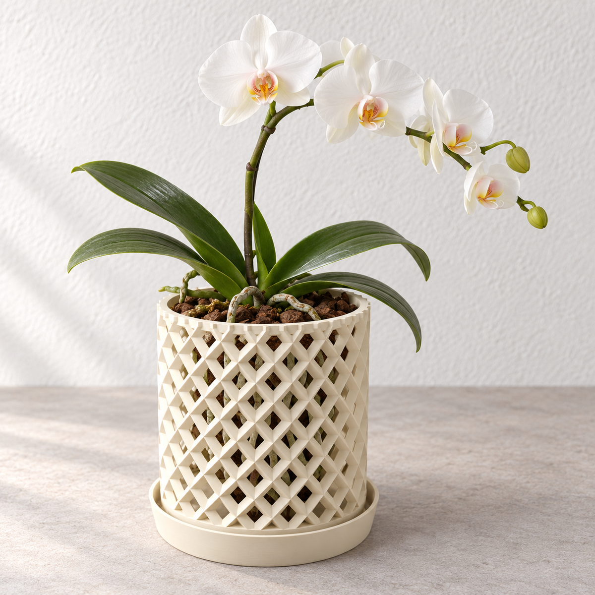 Orvia cream lattice orchid pot with a white orchid and matching raised tray.