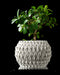 Petal textured planter styled with an indoor plant