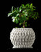 Petal textured planter styled with an indoor plant