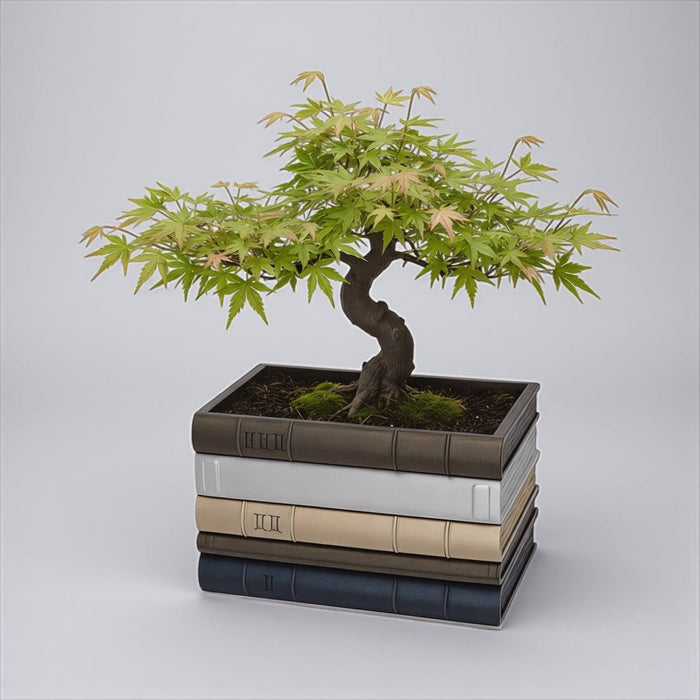 Book Stack Planter "Orven 2" | 3D Printed Planter with Optional Drainage, Customizable Book Colors, Literary Decor, Personalized Gift