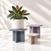 Three Plane square plant stands in grey blue, lilac and beige, with a potted rubber plant on the largest stand