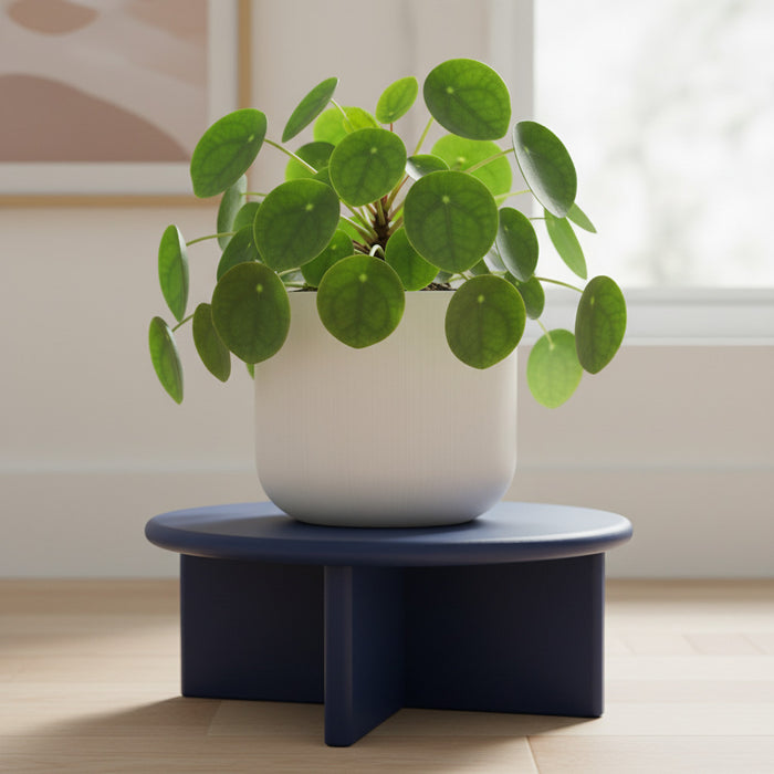Plant Stand for Indoor Plants “Lintel” , Round Plant Riser
