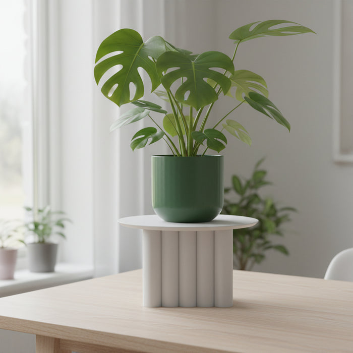 Plant Stand for Indoor Plants “Portico”