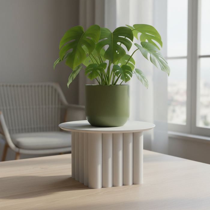 Plant Stand for Indoor Plants “Portico”