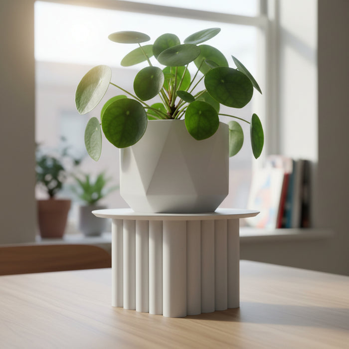 Plant Stand for Indoor Plants “Portico”