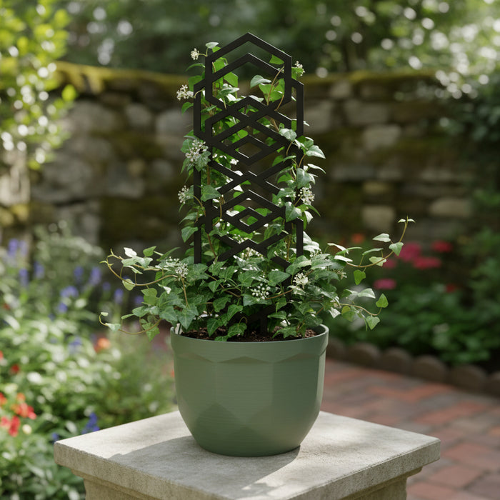 Plant Trellis "Vertex" – Geometric Climbing Plant Support