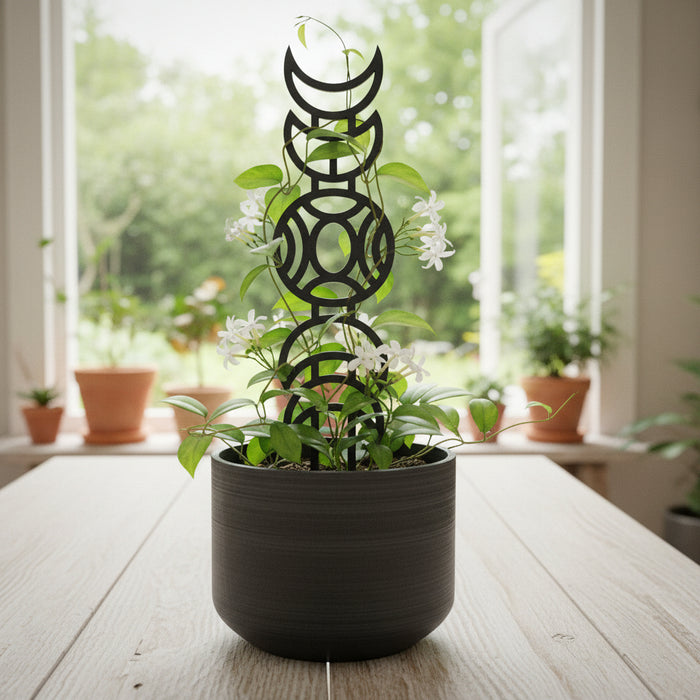 Modern Plant Trellis "Astra" – Moon Phase Climbing Support