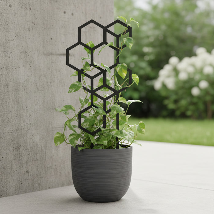 Plant Trellis "Voxel" – Hexagon Climbing Plant Support