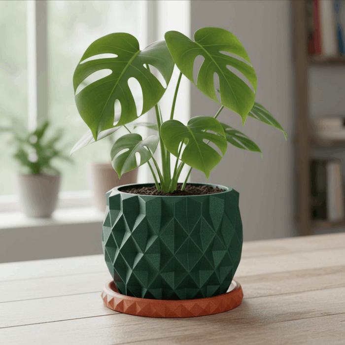 Geometric 3D Printed Planter "Prizma"  Modern Faceted Pot | Multicolor or Single Color Design