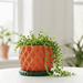 Geometric 3D Printed Planter "Prizma"  Modern Faceted Pot | Multicolor or Single Color Design