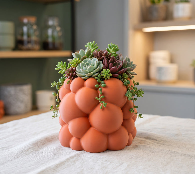 Sculptural "Bubble" Planter | Organic Modern Planter with Volumetric Texture