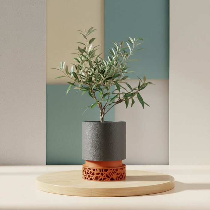 Custom 3D Printed Planter “Vori 2” – Cylinder Plant Pot with Geometric Base, Multicolor Option