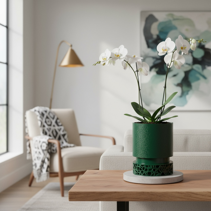 Custom 3D Printed Planter “Vori 2” – Cylinder Plant Pot with Geometric Base, Multicolor Option