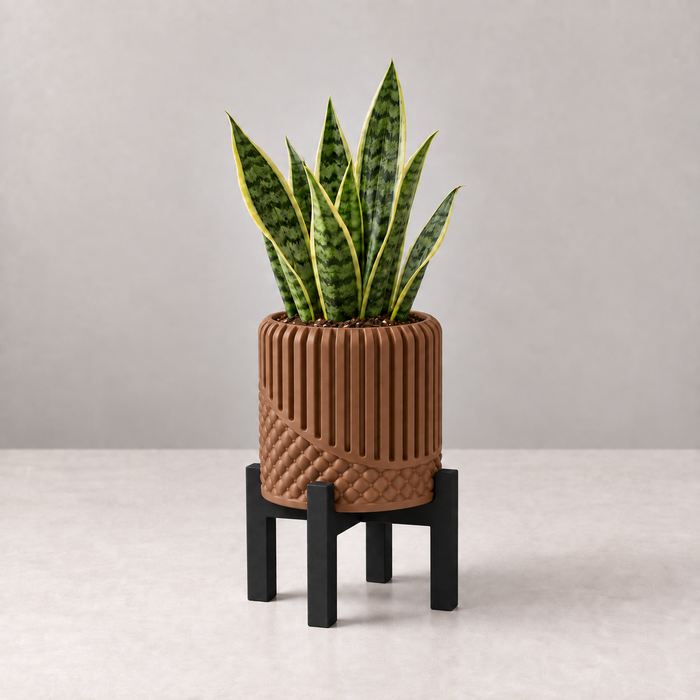 Modular Planter with Stand | Riona Insert & Screw Base