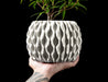 Close-up of a gray cylindrical planter showcasing the detailed texture on the upper container's surface, reminiscent of brushed ceramic but achieved through high-precision 3D printing. The pot is supported by a ring-shaped geometric base with polygonal voids, engineered for both structural elevation and aesthetic intrigue. The minimalist body meets a mathematically inspired foundation, blending organic and digital design principles in a compact form.
